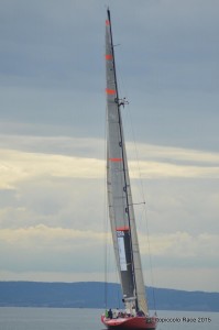 DSC_9512