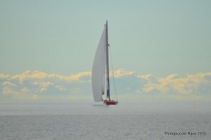 DSC_9586