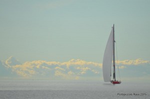 DSC_9587